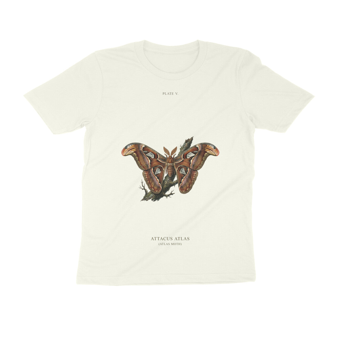 The Atlas Moth Tee